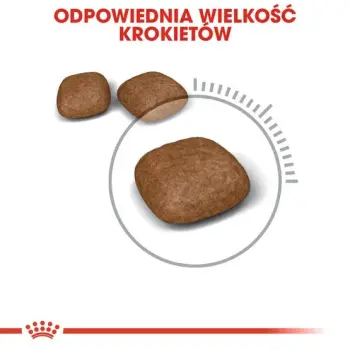 Royal Canin Urinary Care karma sucha dla kotów dorosłych, ochrona dolnych dróg moczowych 2kg