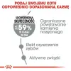 Royal Canin Oral Care karma sucha dla kotów dorosłych, redukująca odkładanie kamienia nazębnego 3,5kg