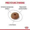 Royal Canin Light Weight Care karma sucha dla kotów dorosłych, utrzymanie prawidłowej masy ciała 400g