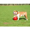 Boomer Ball XL - 10