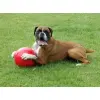 Boomer Ball XL - 10