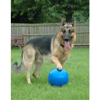 Boomer Ball XL - 10