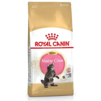 Royal Canin Maine Coon Kitten karma sucha dla kociąt, do 15 miesiąca, rasy maine coon 2kg