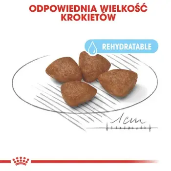 Royal Canin Mini Starter Mother&Babydog karma sucha dla szczeniąt do 2 miesiąca i suk karmiących ras małych 1kg