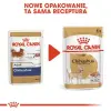 Royal Canin Chihuahua Adult karma mokra – pasztet, dla psów dorosłych rasy chihuahua saszetka 85g