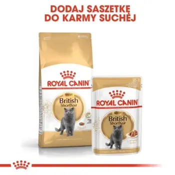 Royal Canin British Shorthair karma mokra w sosie dla kotów dorosłych rasy brytyjski krótkowłosy saszetka 85g
