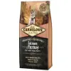 Carnilove Dog Salmon & Turkey Large Puppy - łosoś i indyk 1,5kg