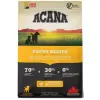 Acana Puppy 2kg