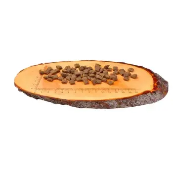 Carnilove Cat Lamb & Wild Boar Sterilised - jagnię i dzik 400g