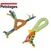 Petstages Gryzaki do higieny zębów kota PS326