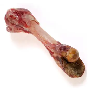 Zolux Kość z szynki parmeńskiej L 370g