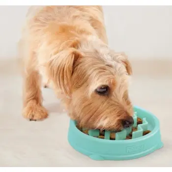 Outward Hound Fun Feeder Tiny (XS) Miska miętowa [67829]