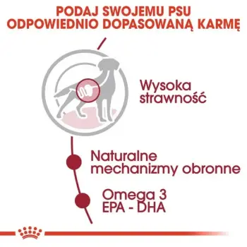 Royal Canin Medium Adult karma mokra w sosie dla psów dorosłych, ras średnich saszetika 140g