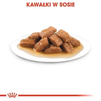 Royal Canin Medium Adult karma mokra w sosie dla psów dorosłych, ras średnich saszetika 140g