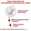 Royal Canin Medium Ageing 10+ karma mokra w sosie dla psów dojrzałych po 10 roku życia, ras średnich saszetka 140g