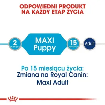 Royal Canin Maxi Puppy karma mokra w sosie dla szczeniąt, od 2 do 15 miesiąca życia, ras dużych saszetka 140g