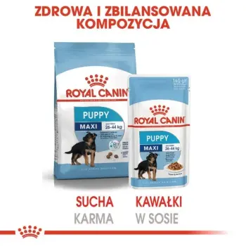 Royal Canin Maxi Puppy karma mokra w sosie dla szczeniąt, od 2 do 15 miesiąca życia, ras dużych saszetka 140g