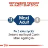 Royal Canin Maxi Adult karma mokra w sosie dla psów dorosłych, do 5 roku życia, ras dużych saszetka 140g