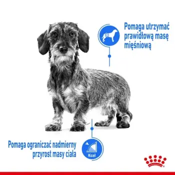 Royal Canin Mini Light Weight Care karma sucha dla psów dorosłych, ras małych z tendencją do nadwagi 1kg
