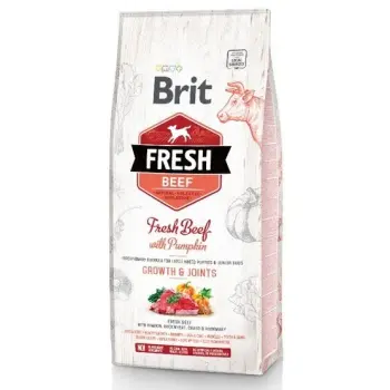 Brit Fresh Dog Puppy Large Beef & Pumpkin 2,5kg