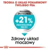 Royal Canin Mini Urinary Care karma sucha dla psów dorosłych, ras małych, ochrona dolnych dróg moczowych 1kg