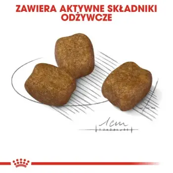 Royal Canin Mini Dental Care karma sucha dla psów dorosłych, ras małych, redukująca powstawanie kamienia nazębnego 1kg