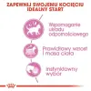 Royal Canin Kitten Sterilised karma mokra w galaretce dla kociąt od 4 do 12 miesiąca życia, sterylizowanych saszetka 85g