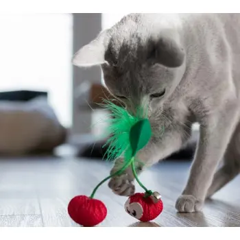 Petstages Cherry Dental dla kota [PS67833]