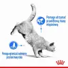 Royal Canin Light Weight Care karma sucha dla kotów dorosłych, utrzymanie prawidłowej masy ciała 1,5kg