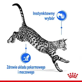 Royal Canin Indoor Sterilised sos karma mokra dla kotów dorosłych sterylizowanych, przebywających w domu saszetka 85g