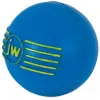 JW Pet iSqueak Ball Medium [32124D]