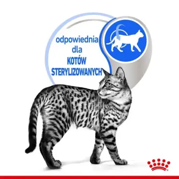 Royal Canin Indoor Sterilised Jelly karma mokra dla kotów dorosłych sterylizowanych, przebywających w domu saszetka 85g