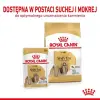 Royal Canin Shih Tzu Adult karma mokra dla psów dorosłych rasy shih tzu saszetka 85g