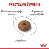 Royal Canin Light Weight Care karma sucha dla kotów dorosłych, utrzymanie prawidłowej masy ciała 8kg