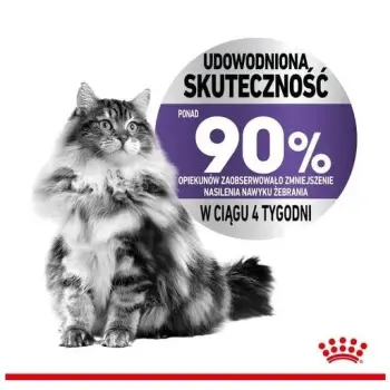 Royal Canin Appetite Control Care karma sucha dla kotów dorosłych, domagających się jedzenia 3,5kg