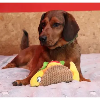 Dingo Zabawka dla psa - Taco 20cm