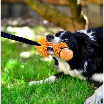 Dingo Zabawka dla psa - Szarpak Mop Bungee z piłką pomarańczowy