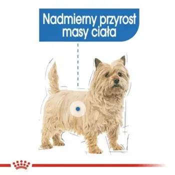 Royal Canin Light Weight Care karma mokra dla psów dorosłych, wszystkich ras z tendencją do nadwagi saszetka 85g