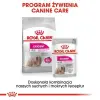 Royal Canin Exigent karma mokra dla wybrednych psów dorosłych, wszystkich ras, pasztet saszetka 85g