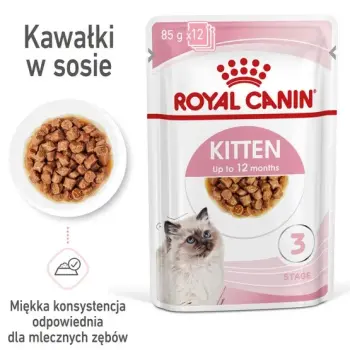 Royal Canin Feline Kitten Multipack karma mokra dla kociąt do 12 miesiąca życia saszetki 4x85g