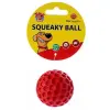 Toby's Choice Squeaky Ball Small [TC10016]