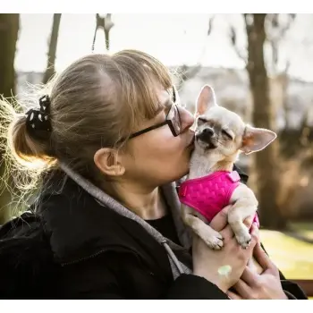 Dingo Szelki bezuciskowe z dwupaskową regulacją M różowe