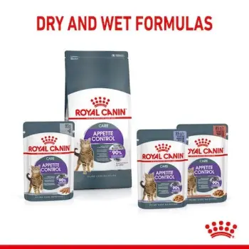 Royal Canin Appetite Control Care karma mokra w galaretce dla kotów dorosłych, domagających się jedzenia saszetka 85g