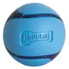 Chuckit! Sniff Fetch Ball Bacon Medium [33207]