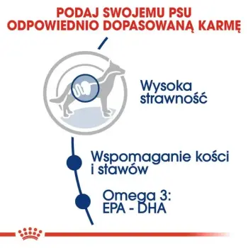 Royal Canin Maxi Adult karma sucha dla psów dorosłych, do 5 roku życia, ras dużych 15kg