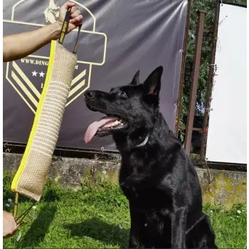 Dingo Zabawka dla psa - Szarpak z juty z dwoma uchwytami Extra Mocny 60/8cm