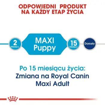 Royal Canin Maxi Puppy karma sucha dla szczeniąt, od 2 do 15 miesiąca życia, ras dużych 15kg