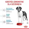 Royal Canin Giant Junior karma sucha dla szczeniąt od 8 do 18/24 miesiąca życia, ras olbrzymich 15kg