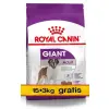 Royal Canin Giant Adult karma sucha dla psów dorosłych, od 18/24 miesiąca życia, ras olbrzymich PROMOCJA 18kg (15+3kg)