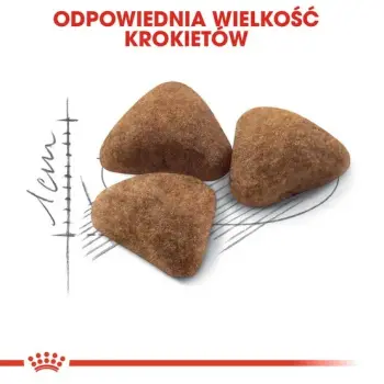 Royal Canin Indoor karma sucha dla kotów dorosłych, przebywających wyłącznie w domu 4kg